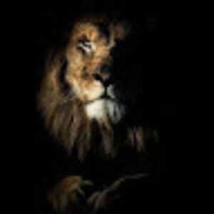 Meet your Posher, Omar